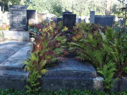 Grób Jindřicha i Tekli Troczków oznaczony stelą na cokole i podstawie. Stela ujęta z lewej niższym prostopadłościanem z wyrytym krzyżem, po prawej niski prostopadłościan.