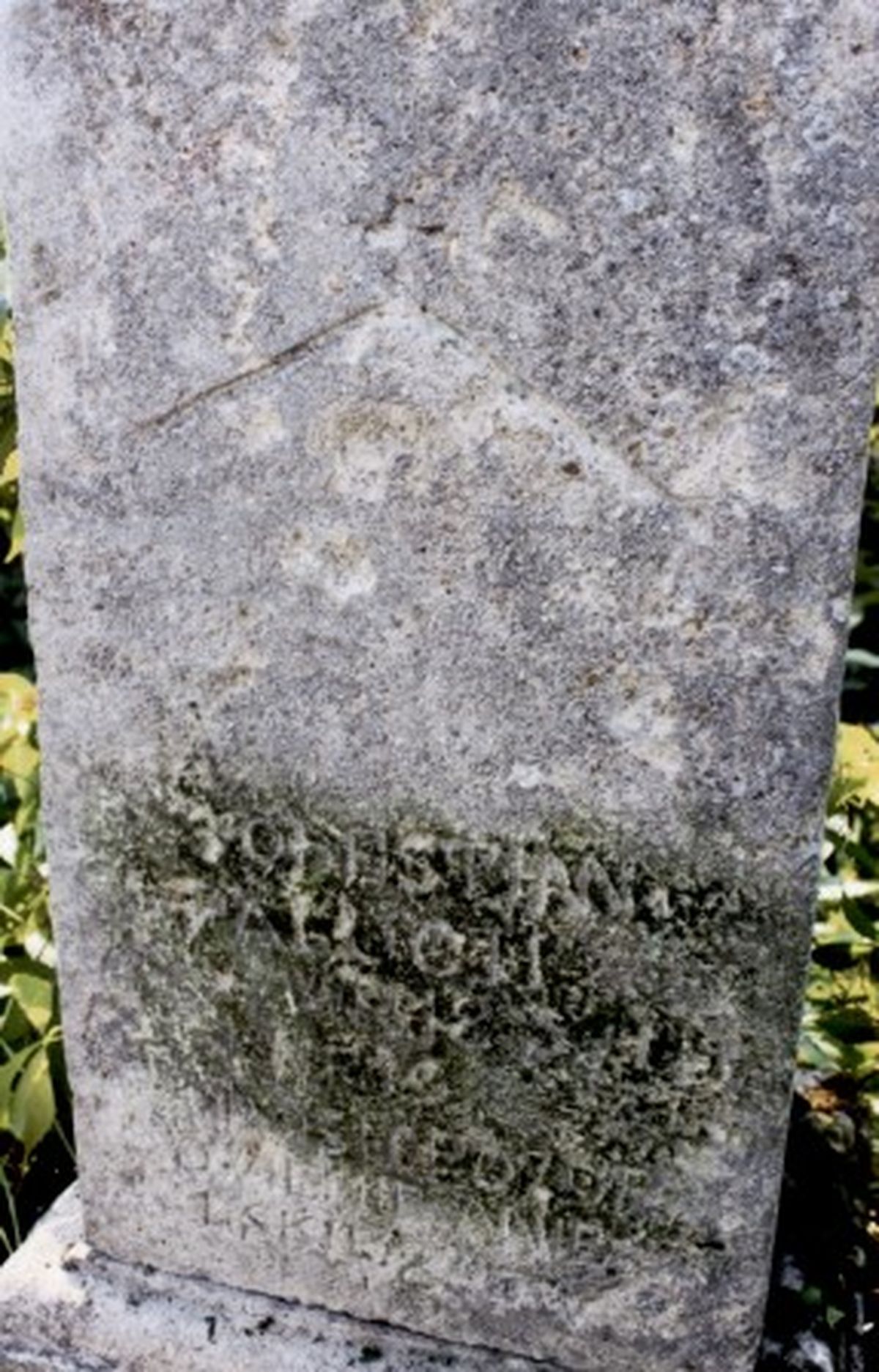 Inskrypcja z nagrobka Sebastiana Palucha, cmentarz w Boryczówce