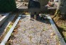 Fotografia przedstawiająca Grave of a Polish soldier from World War II