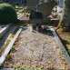 Fotografia przedstawiająca Grave of a Polish soldier from World War II