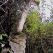 Photo montrant Tombstone of Emilia [...]smański