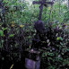Photo showing Tombstone N.N.