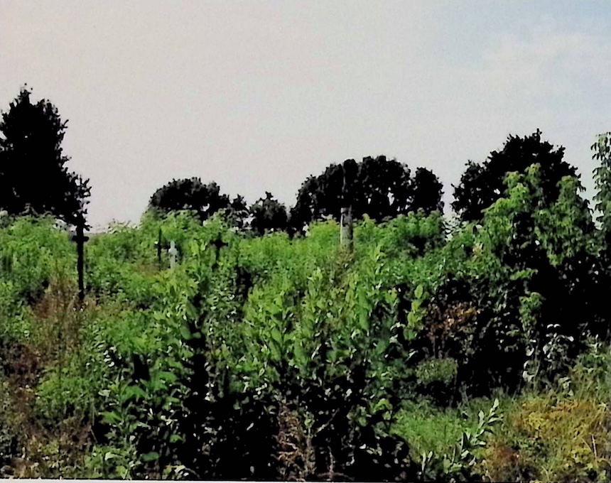 Photo showing Cemetery in Celejów