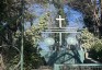 Photo showing Catholic cemetery in Adampol
