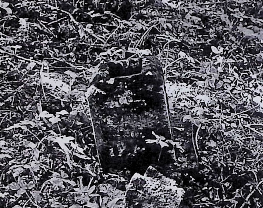 Photo showing Tombstone of Jan and Sicilia Biernacki