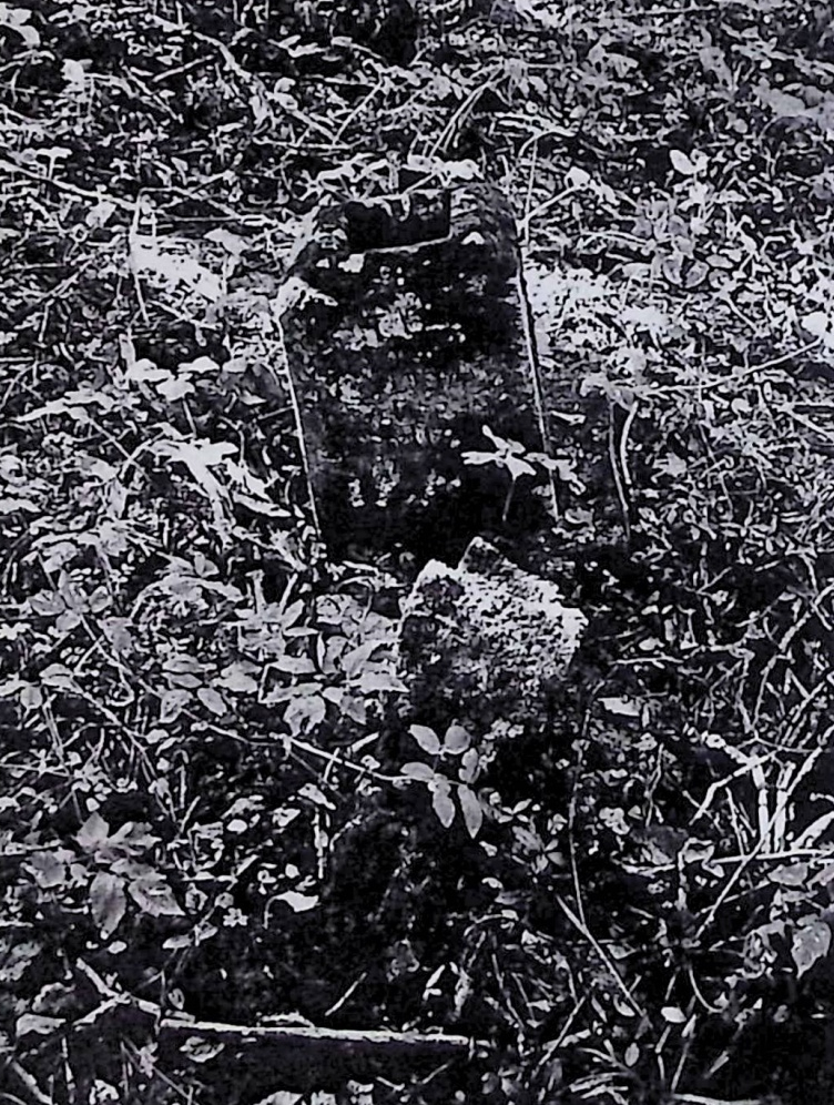 Photo showing Tombstone of Jan and Sicilia Biernacki