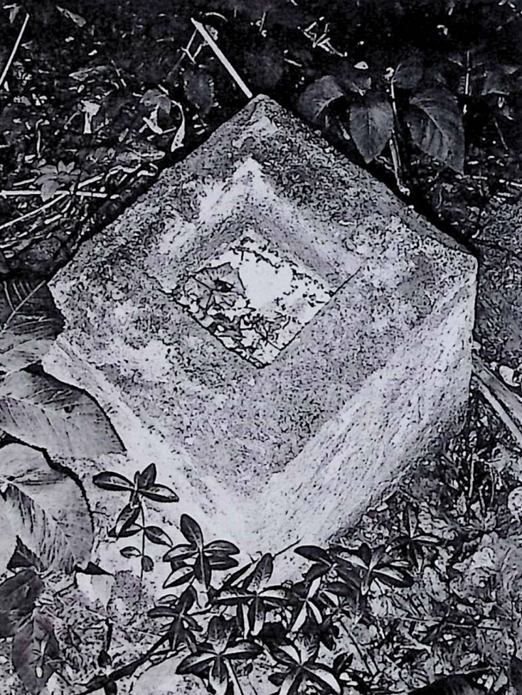 Альтернативний текст фотографії