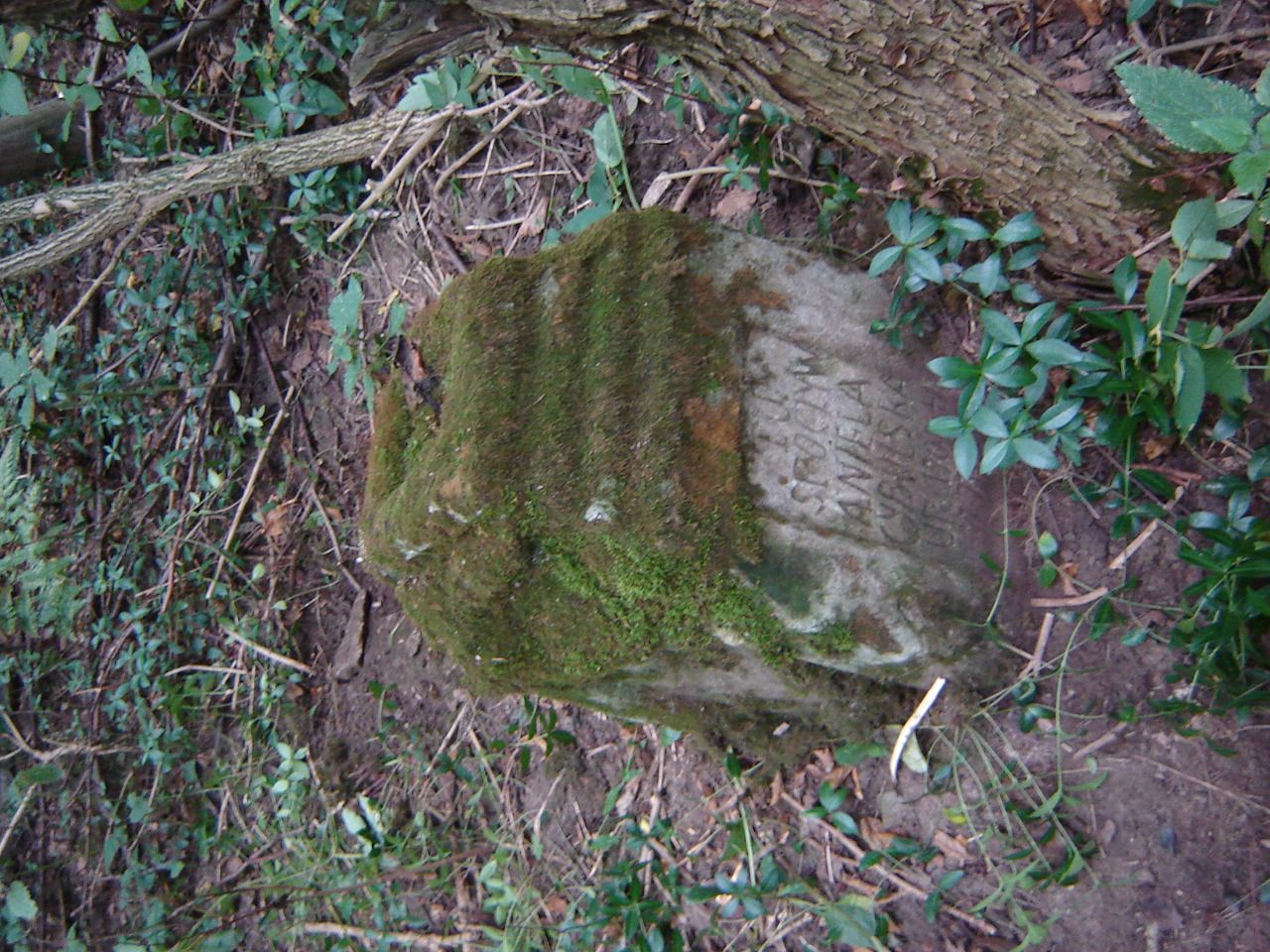 Альтернативний текст фотографії