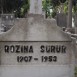 Photo montrant Tombstone of the SÜRÜR family