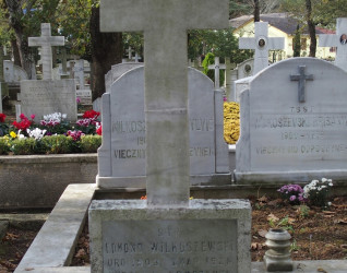 Nagrobek Edmunda Wilkoszewskiego, cmentarz katolicki w Adampolu