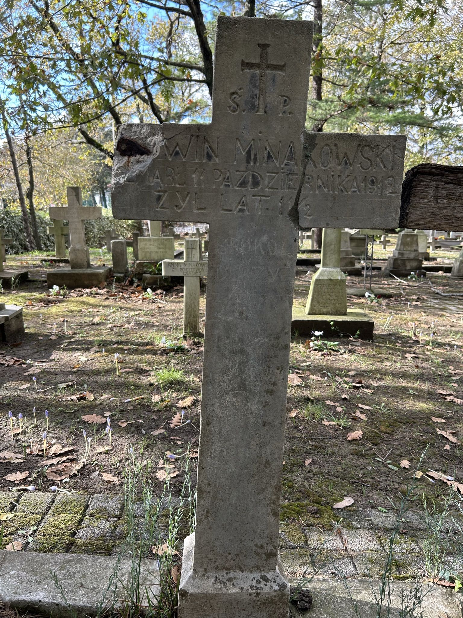Tombstone of N.N. Minakovsky, Catholic cemetery in Adampol