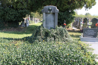 Nagrobek rodzin Międzyborskich i Rycko