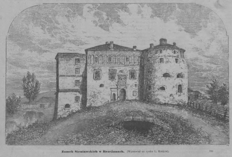 Fotografia przedstawiająca Opis zamku Sieniawskich w Brzeżanach
