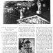 Альтернативний текст фотографії