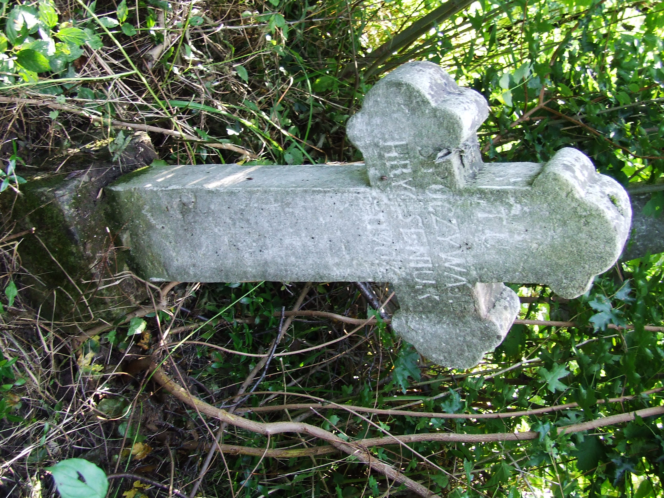 Nagrobek Henryka Seniuka, cmentarz w Snowidowie, stan z 2006r.