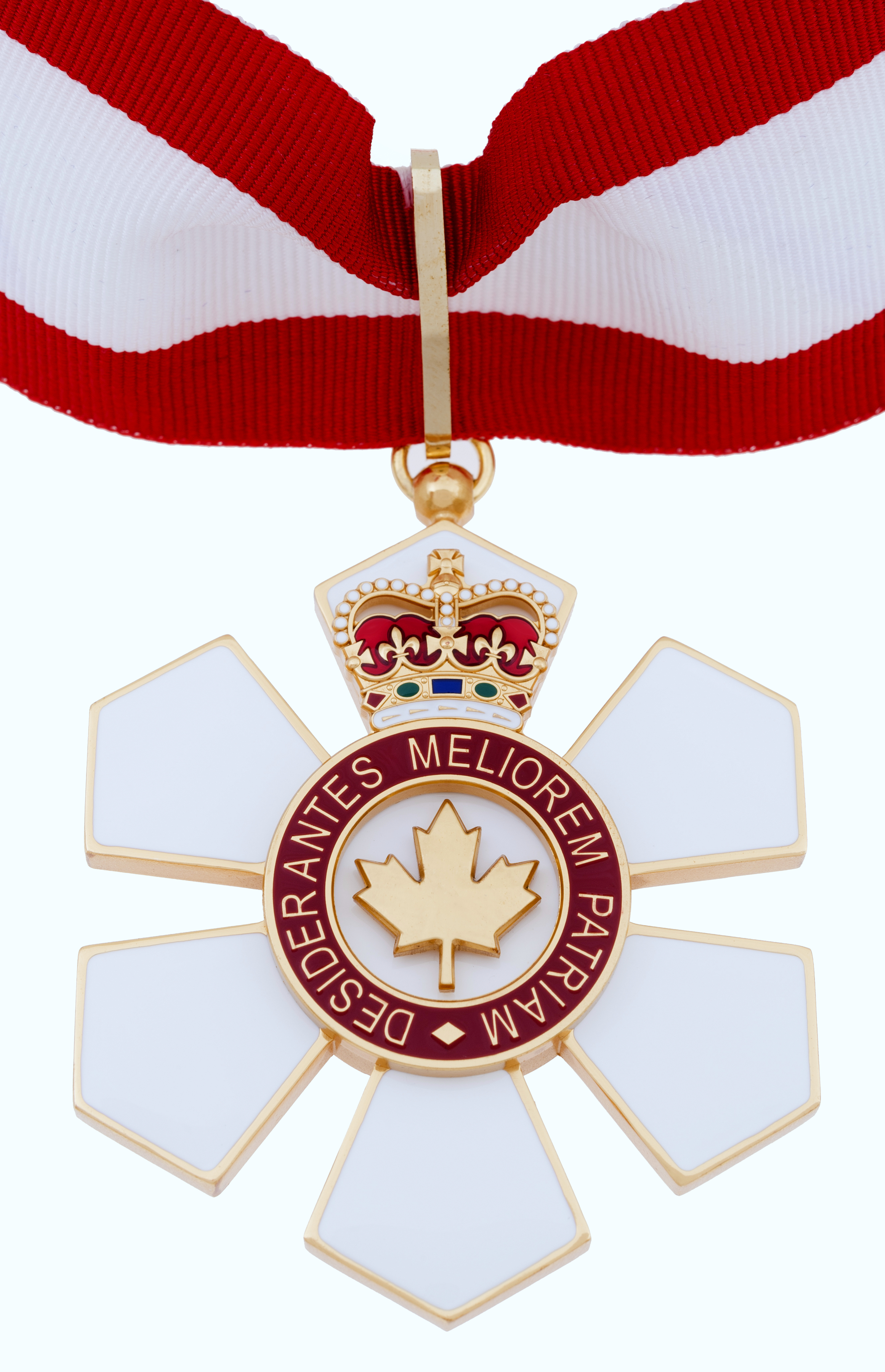 Fotografia przedstawiająca Poles awarded the Order of Canada