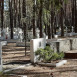 Fotografia przedstawiająca War cemetery from the battle of Kostiuchnowka