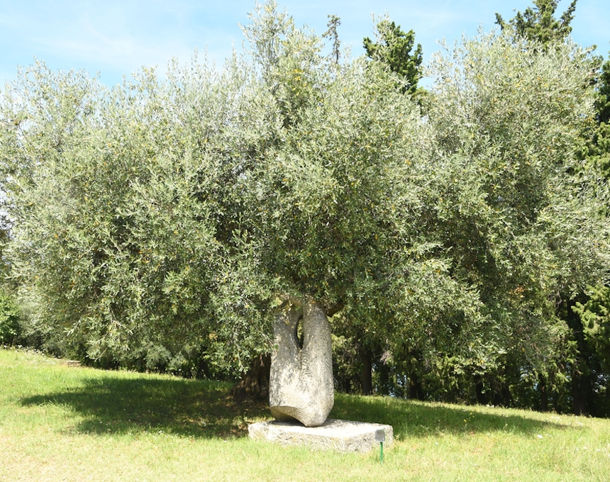 Photo montrant Sculptures by Polish artists at the Forma Viva open-air sculpture workshop in Portorož