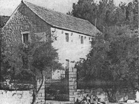 Альтернативний текст фотографії