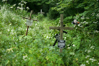 Drewniane krzyże z tabliczkami imiennymi otoczone zarośniętą roślinnością na cmentarzu polskim w Krzemieńcu.