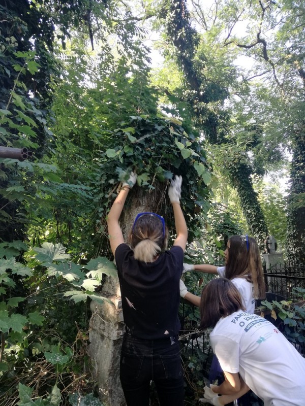 Fotografia przedstawiająca Prace porządkowe na cmentarzu Janowskim we Lwowie