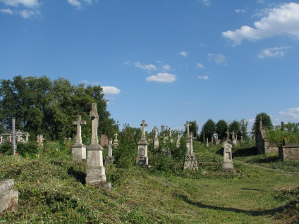 Cmentarz z XIX wieku z polskimi nagrobkami w Zbarażu. Kamienne krzyże i pomniki stoją wśród przyciętej trawy i drzew pod błękitnym niebem.
