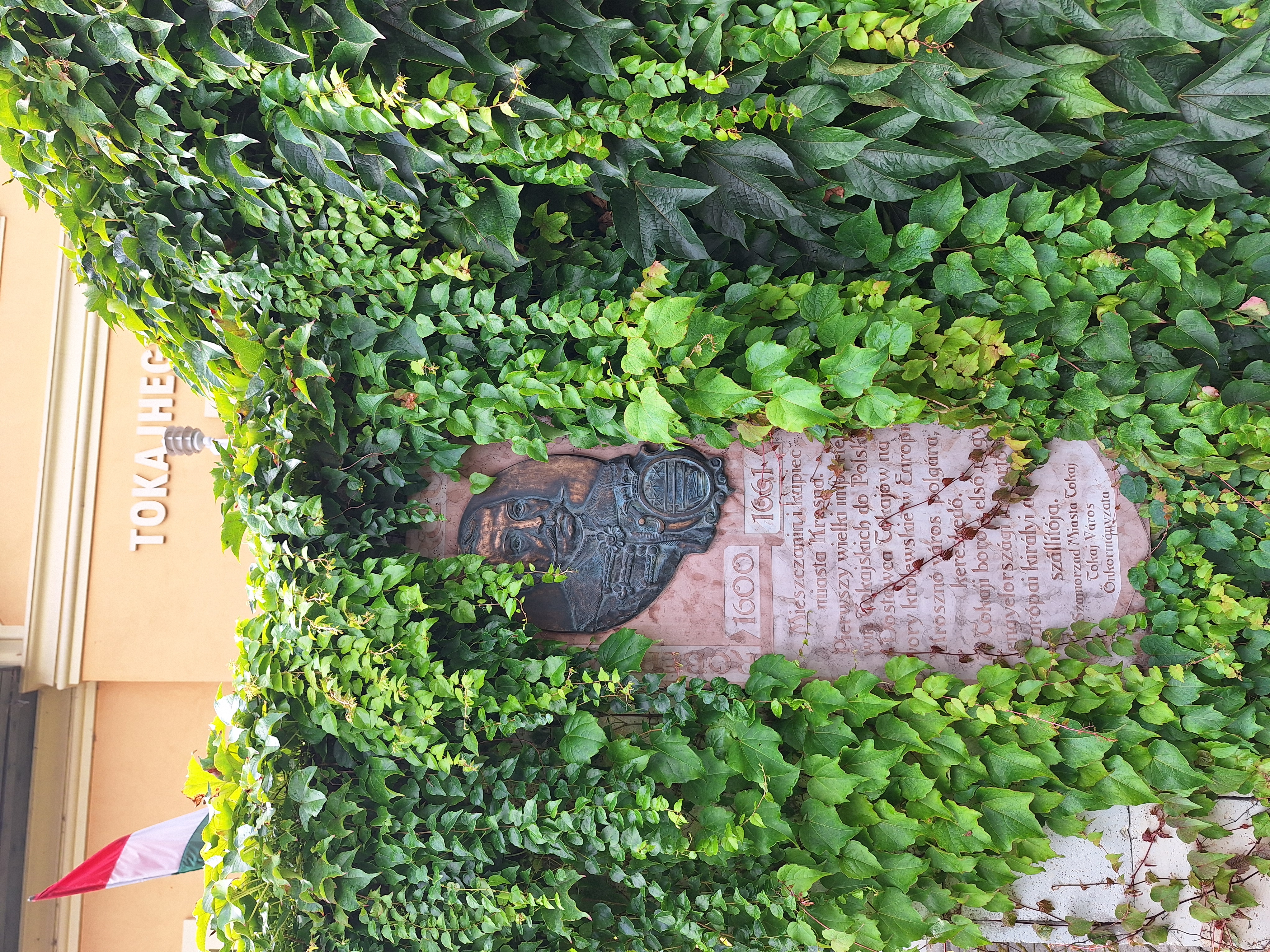 Альтернативний текст фотографії