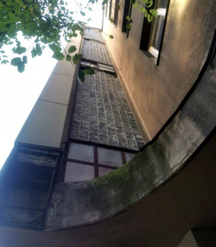 Widok od dołu na budynek Izby Notarialnej we Lwowie, ukazujący modernistyczną architekturę z zakrzywioną fasadą, szklanymi blokami i oknami. Liście częściowo kadrują górny lewy róg.