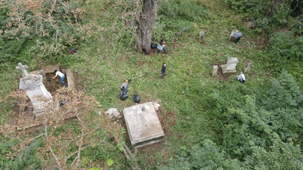 Wolontariusze porządkują zarośnięty cmentarz w Tadaniach na Ukrainie. Widoczne są nagrobki i duże drzewo wśród gęstej roślinności.