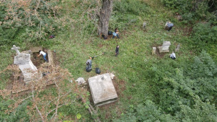 Wolontariusze porządkują zarośnięty cmentarz w Tadaniach na Ukrainie. Widoczne są nagrobki i duże drzewo wśród gęstej roślinności.
