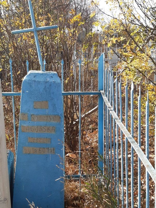 Fotografia przedstawiająca Prace porządkowe na cmentarzach w Oziornoje, Czkałowie i Jasnej Polanie w Kazachstanie