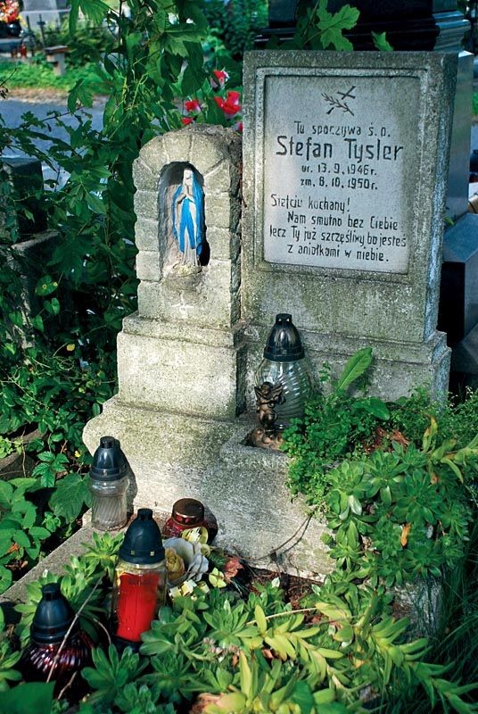 Fotografia przedstawiająca Cleaning of cemeteries in Těšín Sibica, Staré Karviná, Ligotka Kameralna and others in the Czech Republic