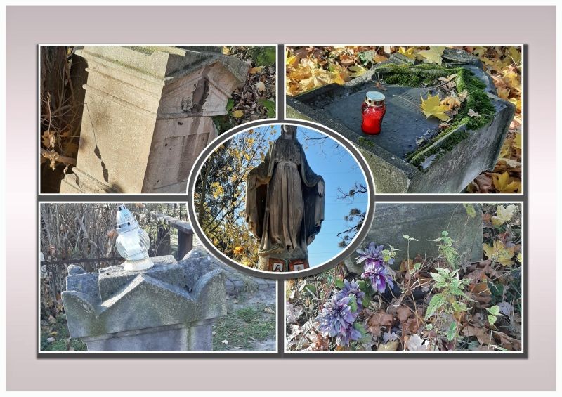 Fotografia przedstawiająca Cleaning work in the cemeteries of Zamarstynov and Holosko Maly in Lviv