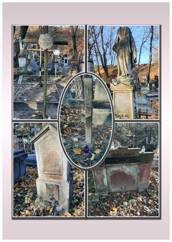 Fotografia przedstawiająca Cleaning work in Lviv\'s cemeteries of Zniesienie, Zamarstynov, Holosko Maly and Drohobych in Ukraine