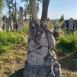 Fotografia przedstawiająca Kontynuacja prac porządkowo-ratunkowych i konserwatorskich na starym cmentarzu w Zbarażu