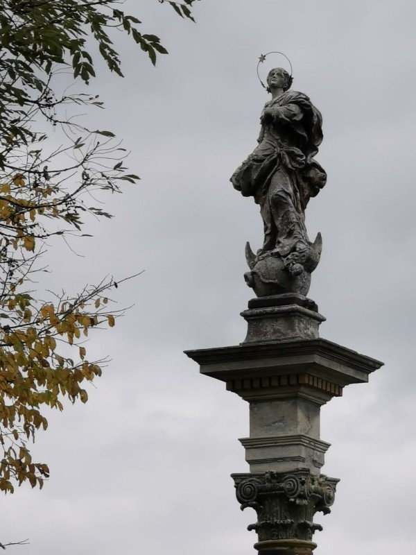 Fotografia przedstawiająca Column in Novosibirske Zahalchytsya - restoration works