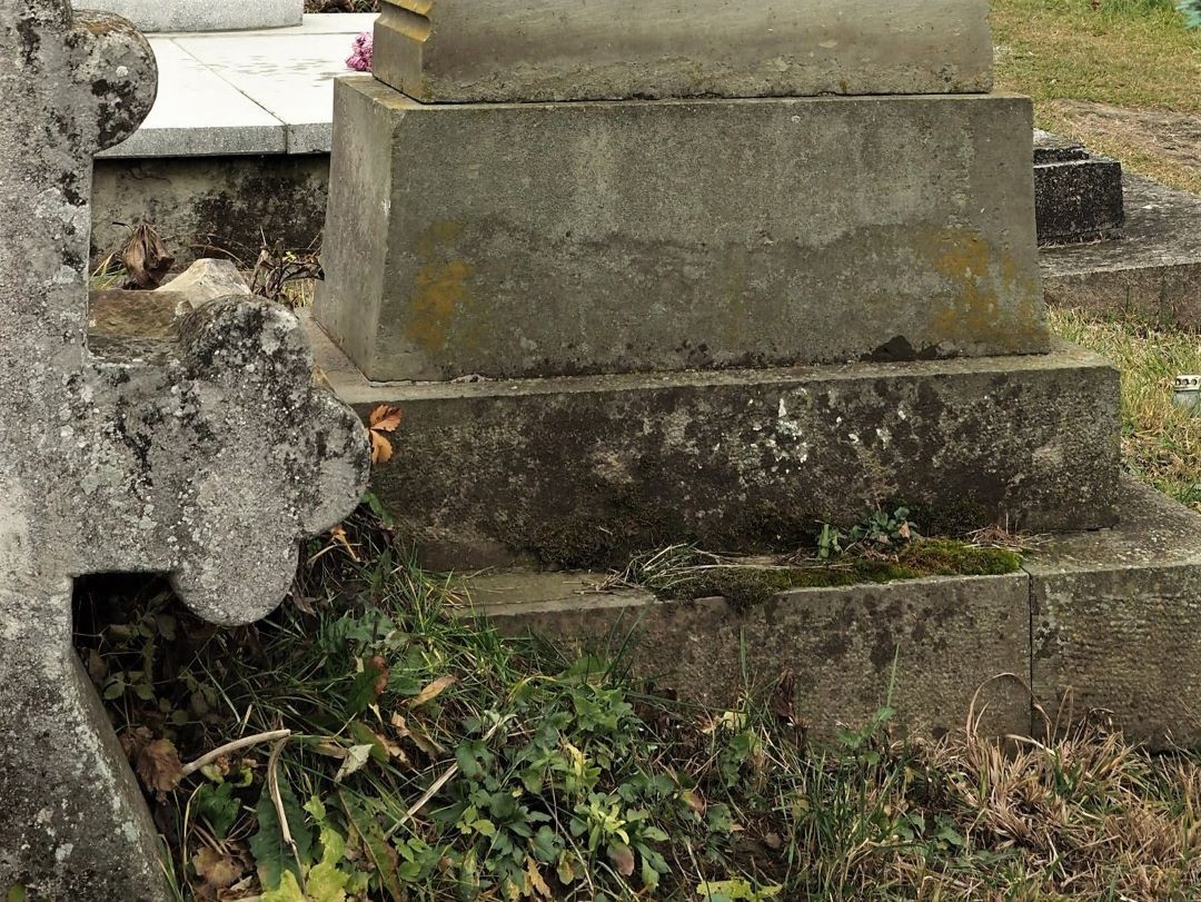 Fotografia przedstawiająca Conservation work on tombstones in Zloczow and the second stage of conservation work on the Column next to the former parish church of All Saints in Novosiolki Zahalchytsya