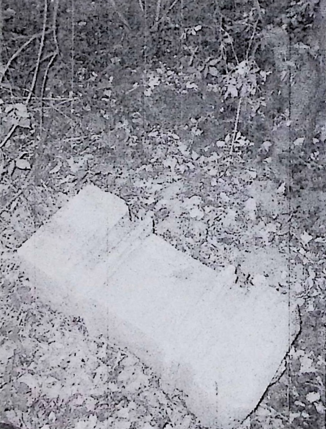 Photo showing Tombstone of [...] Delik and Józefa [...].