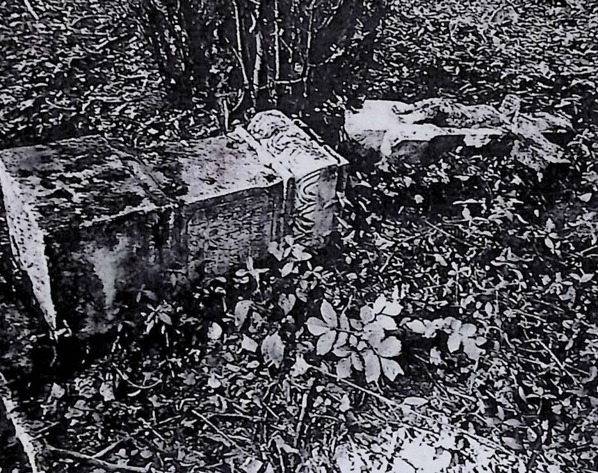 Альтернативний текст фотографії