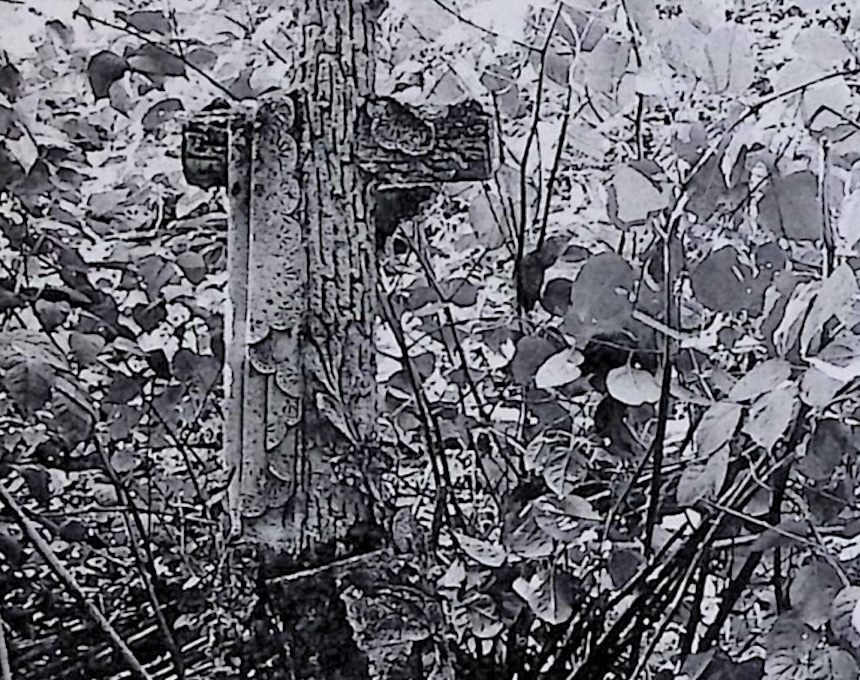 Photo montrant Tombstone of Francis and Vincent Druszcz