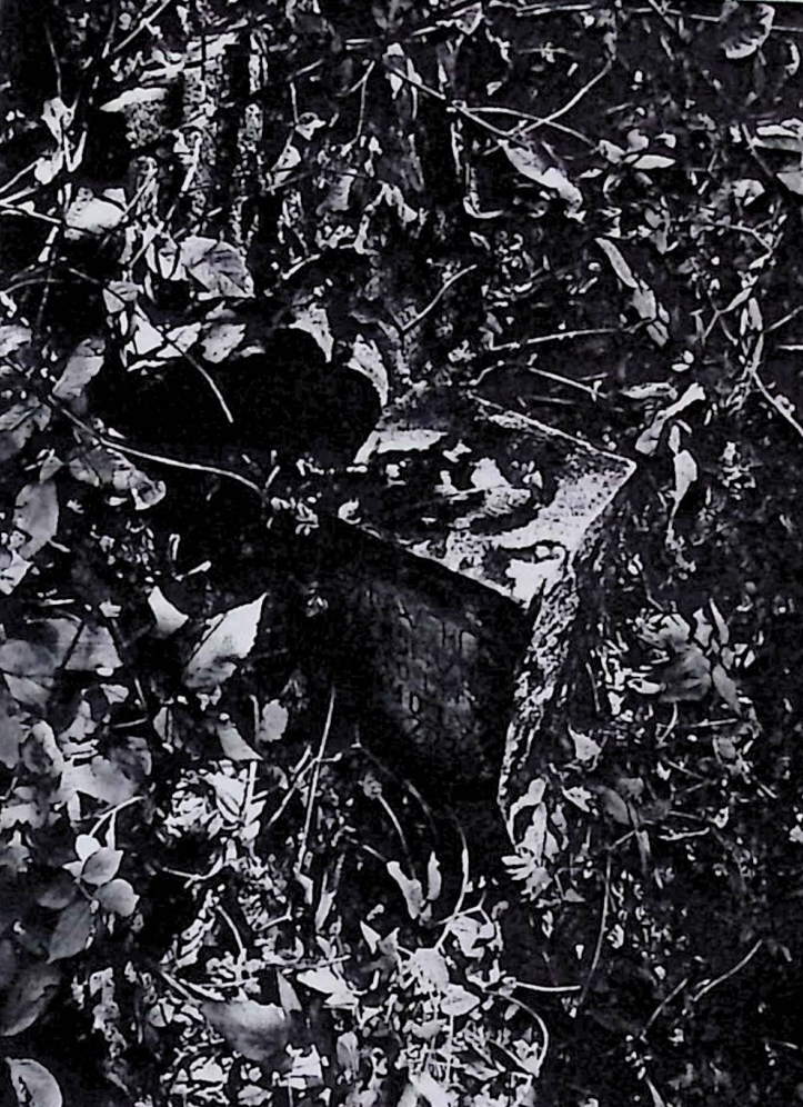 Photo montrant Tombstone of Antonina and Saturn Fuławek