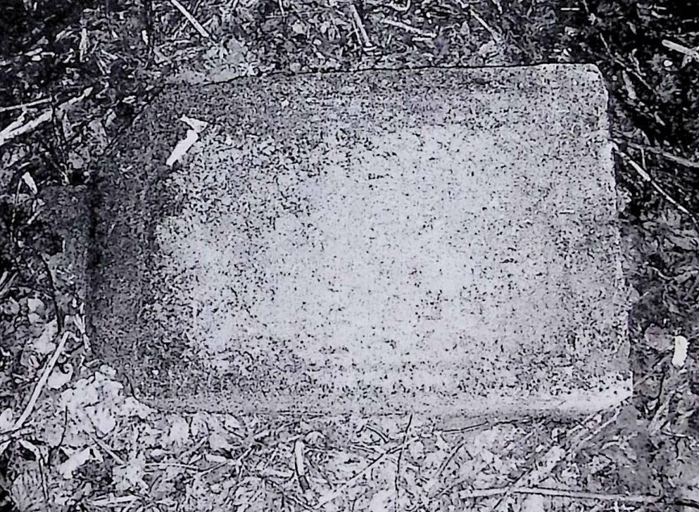 Fotografia przedstawiająca Nagrobek Franciszka Grabowieckiego