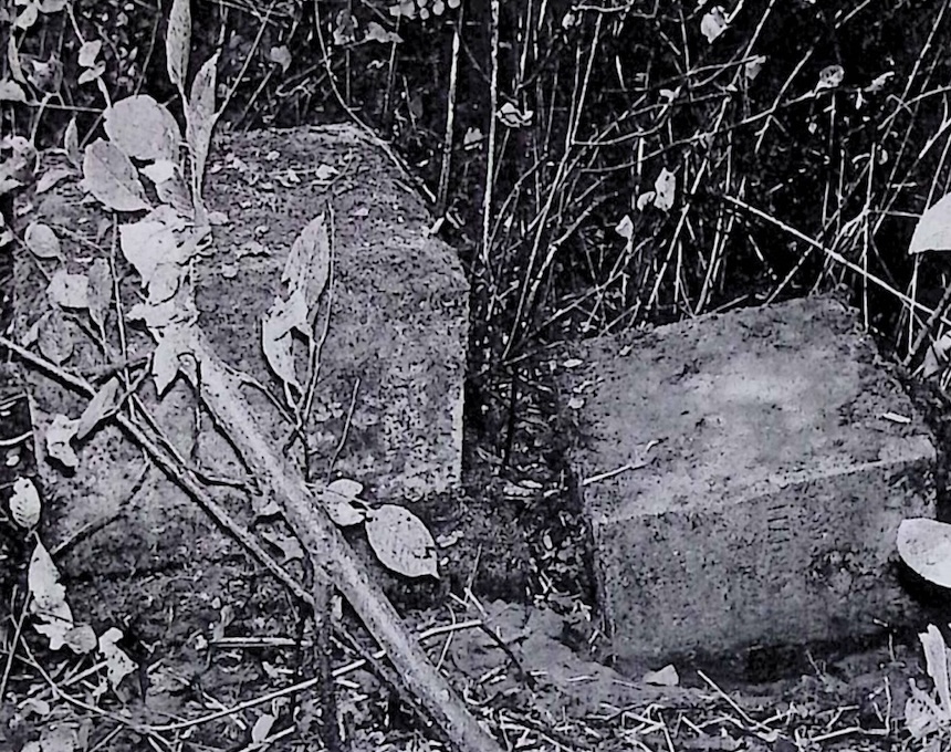 Photo showing Tombstone of Maria Janikowska