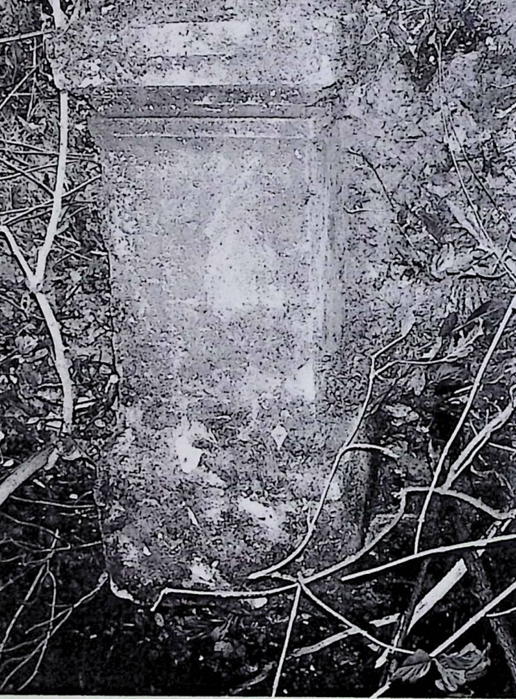 Альтернативний текст фотографії