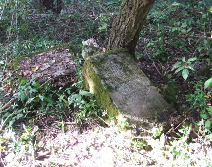 Nagrobek Ludwika Łukasiewicza, stan z 2007