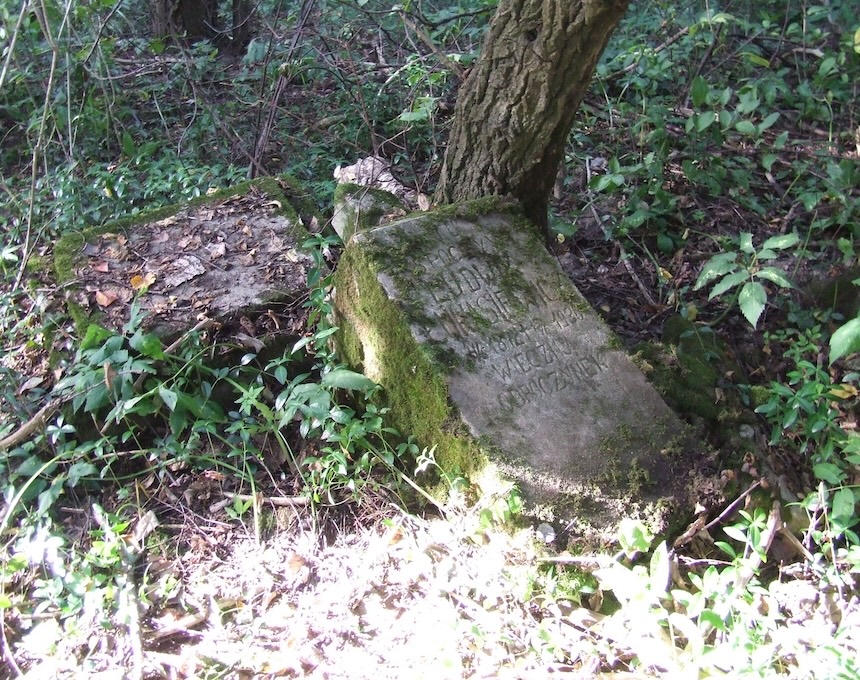 Photo showing Tombstone of Ludwik Łukasiewicz