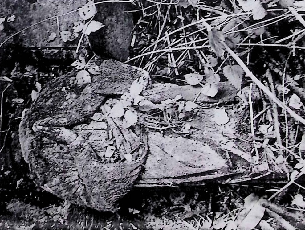 Photo showing Tombstone of Klara Franciszka Macała
