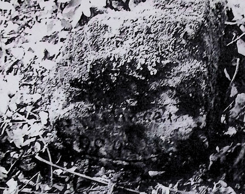 Fotografia przedstawiająca Nagrobek N.N. Macały