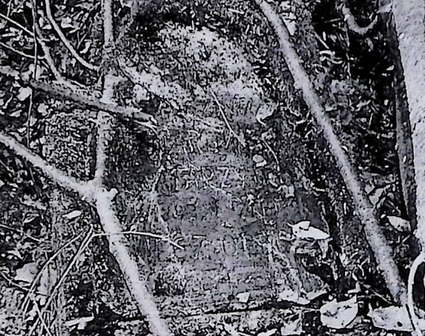 Photo montrant Tombstone of Katarzyna Oznarowicz