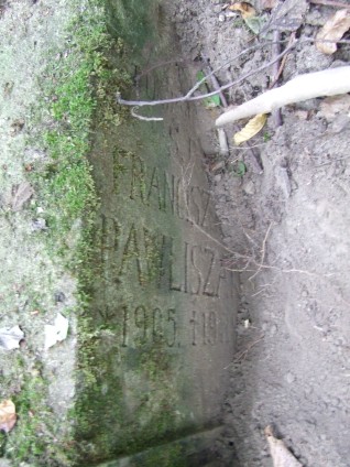 Nagrobek Franciszki Pawliszak, stan z 2007